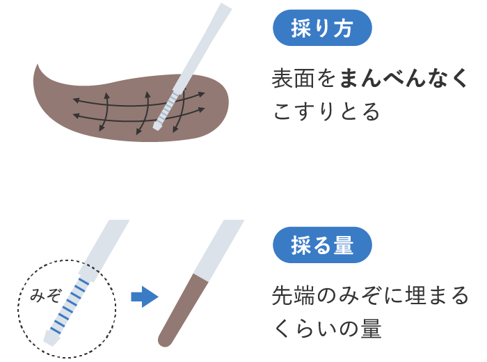 便の採り方 表面をまんべんなくこすりとる 先端のみぞに埋まるくらいの量